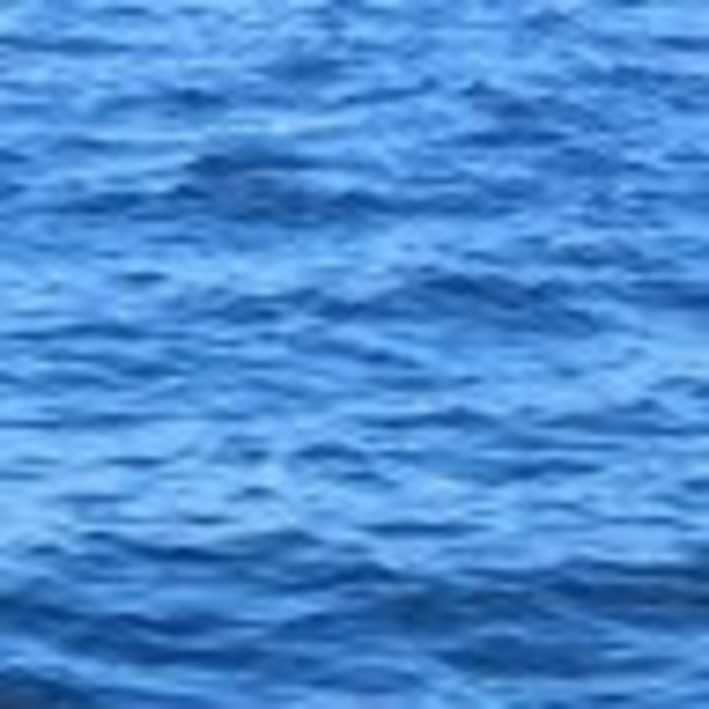 Meet your Posher, Ursula